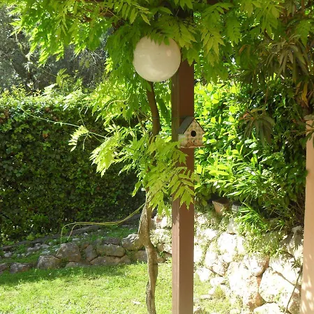 Nice With Pool In Apartman